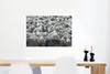 MuchoWow® Poster Tiere - Schafe - Schafsfell 90x60 cm - Produktbild-Vorschau 5