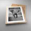 Gerahmtes Poster - Rahmen in heller Eiche - Elefant Wildnis Produktbild-Vorschau 3