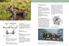 Grundwissen Jägerprüfung Voir les images du produit 5