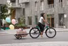 Hamax Venture Cargo+ Fahrradanhänger Produktbild-Vorschau 19