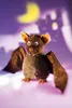 Schaffer 5301 Fledermaus „Dragomir“ 14cm Kuscheltier Produktbild-Vorschau 3
