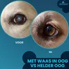 Haustier-Augentropfen 2x10 ml mit Lanosterol + NAC Productafbeelding-voorbeeld