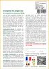 SAFLAX  - Trompette des anges rose - 10 graines - Avec Voir les images du produit 3