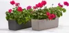 Two rectangular planters filled with pink flowers and green foliage, set against a white background. Náhled obrázku produktu