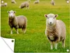 MuchoWow® Produktbild-Vorschau 1