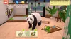 Animal Hospital [PS5] USK/PEGI Produktbild-Vorschau 6