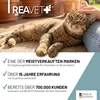 REAVET Senior Complete Pulver für ältere Katzen, reicht 3 Produktbild-Vorschau 5
