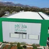 Physis of Crete oliwa extra virgin łagodna do sałatek 5 L Podgląd zdjęcia produktu 8