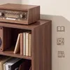 VASAGLE Stojan na gramofon pro 160 desek, přistavný stolek Náhled obrázku produktu 5