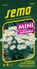 Semo Daisy White - Silver Princess 0,3g - Mini séria Náhľad obrázku produktu 1