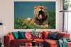 MuchoWow® Poster Löwe - Wildes Tier - Savanne 180x120 cm - Produktbild-Vorschau 3