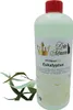 Dufte Momente | Whirlpool Duft 1 Liter | Eukalyptus | mit Produktbild-Vorschau 1