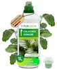 Purgrün Calathea-Dünger 1 Liter Produktbild-Vorschau 1