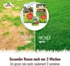 1x15 kg VERDURMAX® Rasenkalk - Rasenpflege mit schneller Produktbild-Vorschau 9