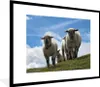 MuchoWow® Gerahmtes Poster Schafe - Berge - Alpen 80x60 cm Produktbild-Vorschau 1