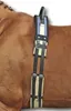 Longiergurt mit Haltegriff, dunkelblau/beige, Produktbild-Vorschau 1