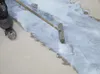 ARDEX P 51 Haft- und Grundierdispersion 5 kg Eimer Produktbild-Vorschau 3