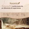 Floranica Bordura per Giardino in legno 10 x 200 cm Non Anteprima dell’immagine prodotto 8