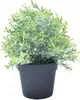 Künstliche Pflanze Im Topf, Realistisch, 20Cm, Schöner Produktbild-Vorschau 1