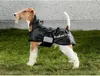 A wire fox terrier wearing a black dog coat stands on grass in front of a concrete wall. Produktbild-Vorschau