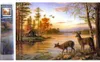 Diamantmalerei: Hirsch am See im Morgengrauen (30 x 40 cm) Produktbild-Vorschau 10