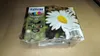 EPSON Multipack T1806 - Daisy - Black. Cyan. Magenta. Anteprima dell’immagine prodotto 7