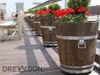 A row of wooden planters with red and green plants on a wooden deck. Produktbild-Vorschau