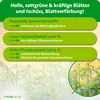 Purgrün Autoflower-Bloom-Dünger 1 Liter, Produktbild-Vorschau 3