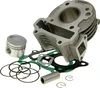 Kit cilindri 101 ottani per motori GY6, compatibile con Anteprima dell’immagine prodotto 1