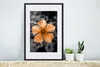 MuchoWow® MuchoWow® Gerahmtes Poster Blumen - Orange - Produktbild-Vorschau 4