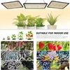 Collage of images showing grow lights, plants, strawberries, succulents, and grapes. Náhled obrázku produktu