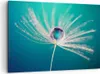 Bild auf Leinwand - Leinwandbild - Pflanze Natur - 120x80cm Produktbild-Vorschau 1