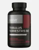 OstroVit Tribulus Terrestris 90 - 60 Kapseln Produktbild-Vorschau 2