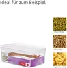 EMSA OPTIMA Trockenvorratsdose, Box, Rechteckig, 2 l, Produktbild-Vorschau 4