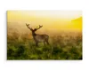 Fabelhafte Canvas LEINWAND BILDER 70x50 cm XXL Kunstdruck Produktbild-Vorschau 3
