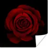 MuchoWow® Poster Rosa - Rot - Schwarz 50x50 cm - Produktbild-Vorschau 1