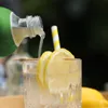 SODAPOP BLUNA Zitrone Sirup 500ml für 10 Liter Produktbild-Vorschau 2