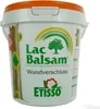 Etisso Lac Balsam Wundverschluss 1 kg mit Streichspachtel Produktbild-Vorschau 3