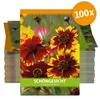 Schöngesicht für Werbezwecke (100 Tütchen) | Produktbild-Vorschau 1