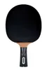 Donic Racchette Top Team 800, 800754198 Anteprima dell’immagine prodotto 2