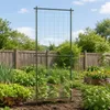KADAX Rankgitter 80 x 240 cm, Rosengitter aus beschichtetem Produktbild-Vorschau 5