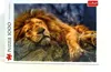TREFL Puzzle Lion endormi 1000 pièces Voir les images du produit 4