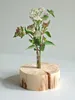 Holzvase "Natur Pur" - Geschliffen Produktbild-Vorschau 2