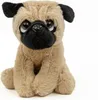 A plush toy pug sitting on a white background. Produktbild-Vorschau