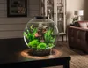 Oase biOrb CLASSIC 30 Liter Aquarium MCR schwarz Produktbild-Vorschau 2