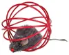 TRIXIE Mouse in a Wire Ball, Mačka, Viacfarebný, Polyester, Náhľad obrázku produktu 1