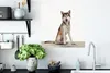 MuchoWow® Poster Wolf - Tiere - Holz - Jungen - Mädchen - Produktbild-Vorschau 3
