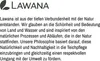 Lawana Seerose Nymphaea Sioux Orange - in Kokosfasern Produktbild-Vorschau 6