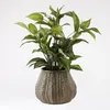 Sztuczna roślina Mica Decorations Hosta - H65 x Ø40 cm - Podgląd zdjęcia produktu 8
