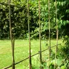 100 Tonkinklammern (Bambusklammern, Clips) für Bambus Produktbild-Vorschau 5